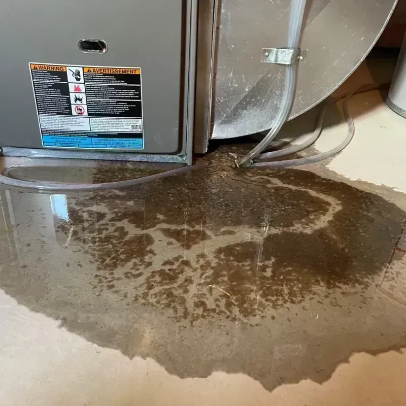 Appliance Leak Cleanup in Forest Hills, TN